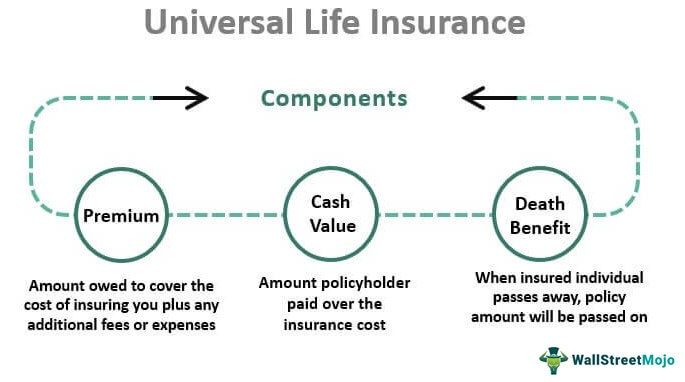 Common Universal Life Insurance Options
