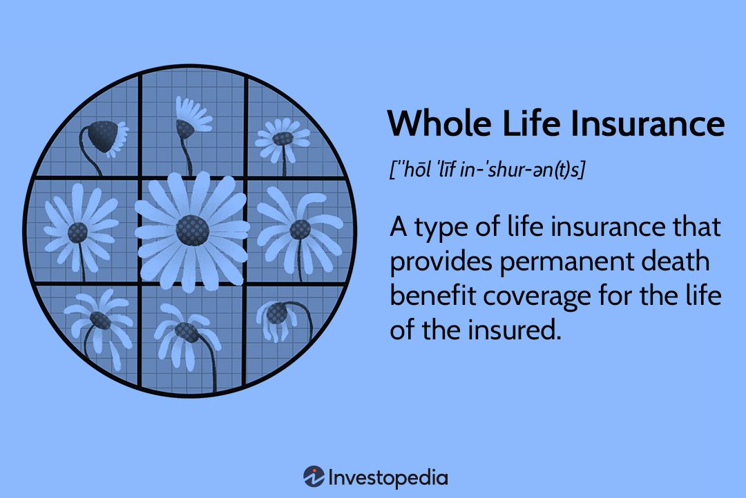 Whole Life Insurance for Kids