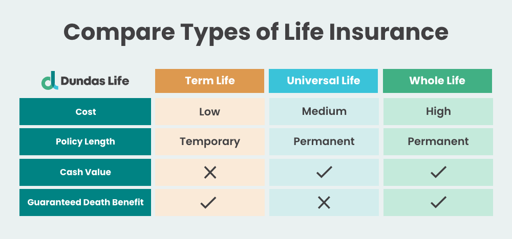 Ideal Age to Purchase Life Insurance