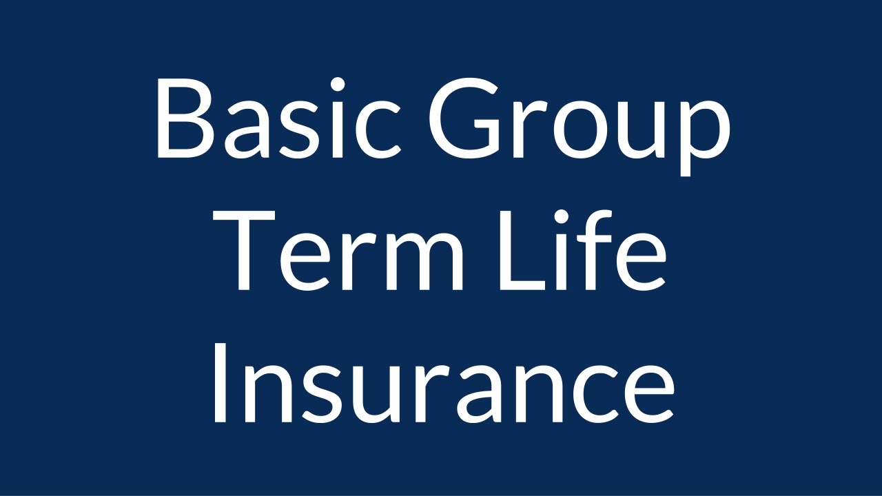 Team of professionals learning about group term life insurance benefits and coverage options