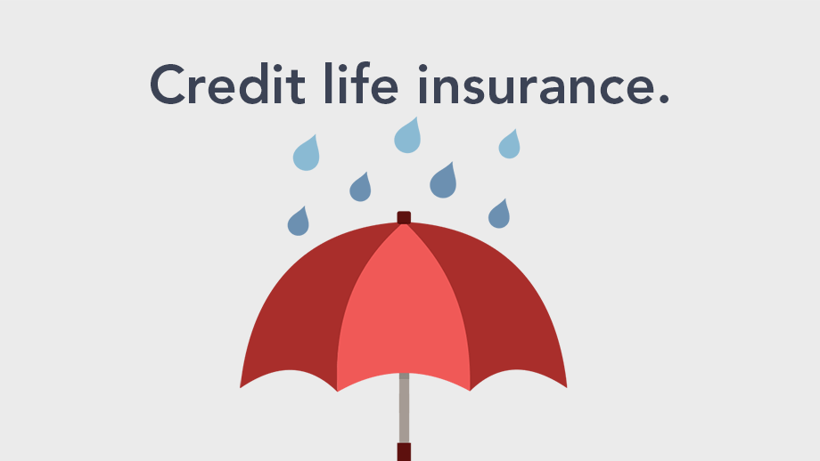 Credit life insurance policy protecting a loan balance and preventing debt from passing to family